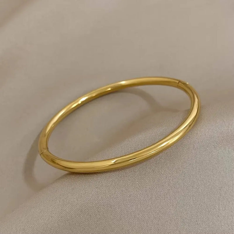 Pulseira Feminina em Aço Titânio com Detalhes de Zircônia, Estilo Clássico Moderno para Uso Diário